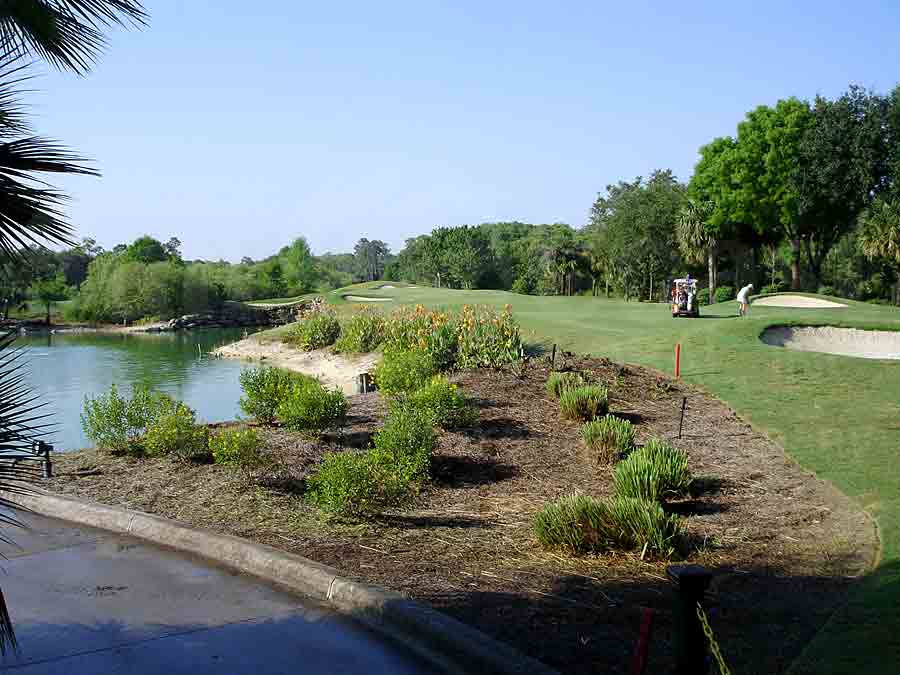 CYPRESS WOODS Golf Course